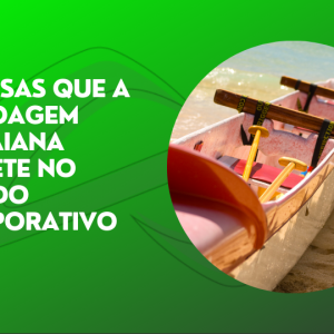 Leia mais sobre o artigo 7 Coisas que a canoagem Havaiana reflete no mundo corporativo
